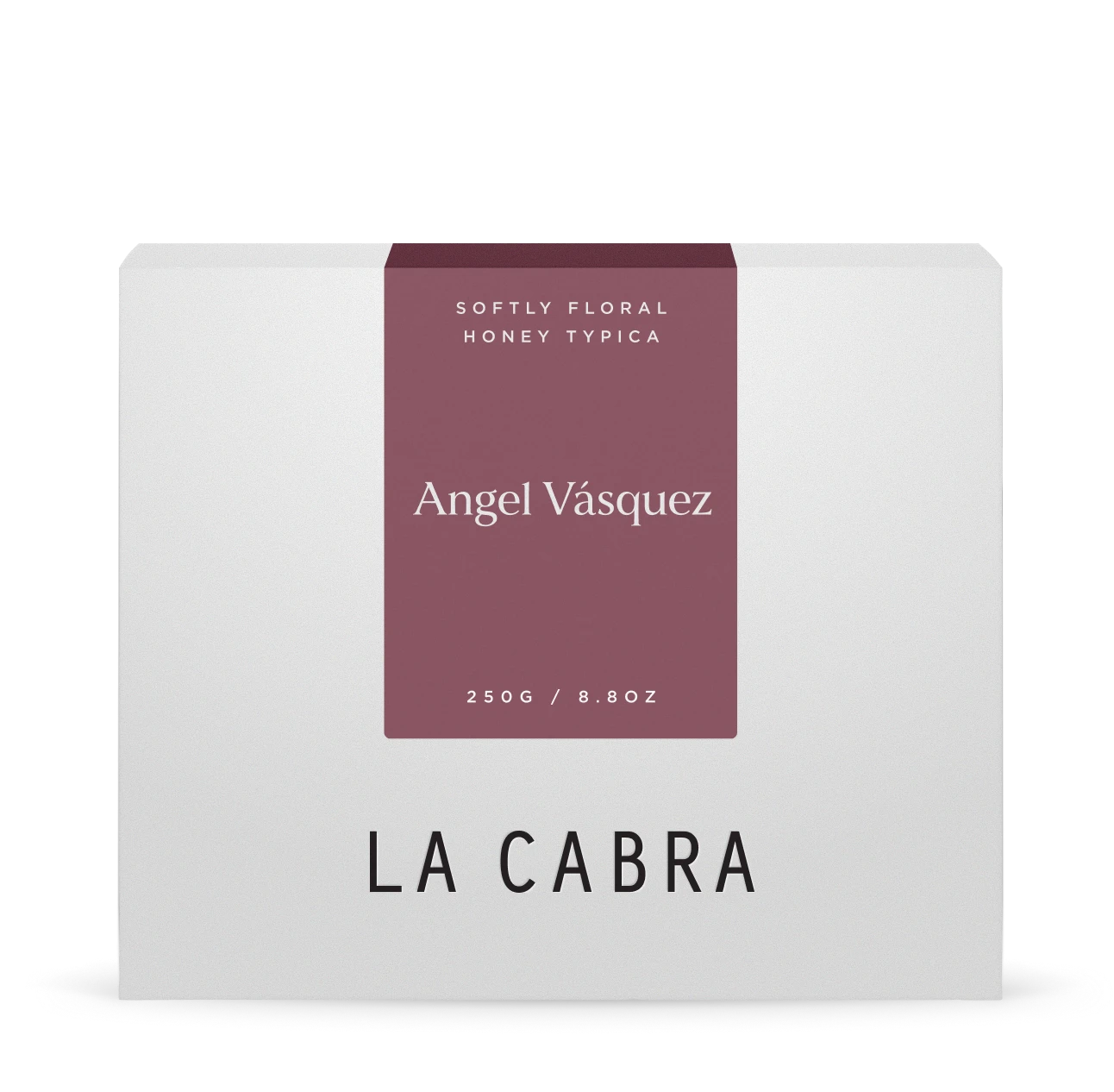Angel Vásquez