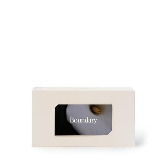 Bundle 3 coffees Box Boundary La Cabra 10%