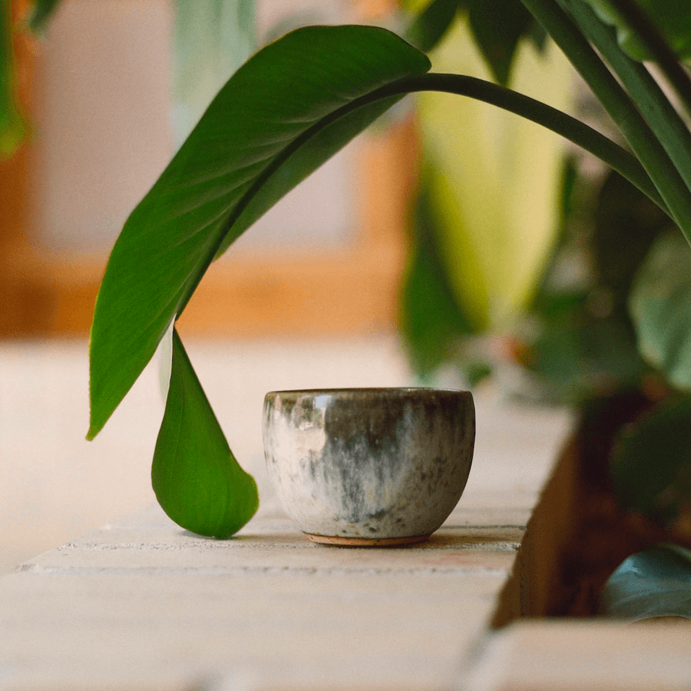 K.H.Wurtz Azurine Cup 180ml Background