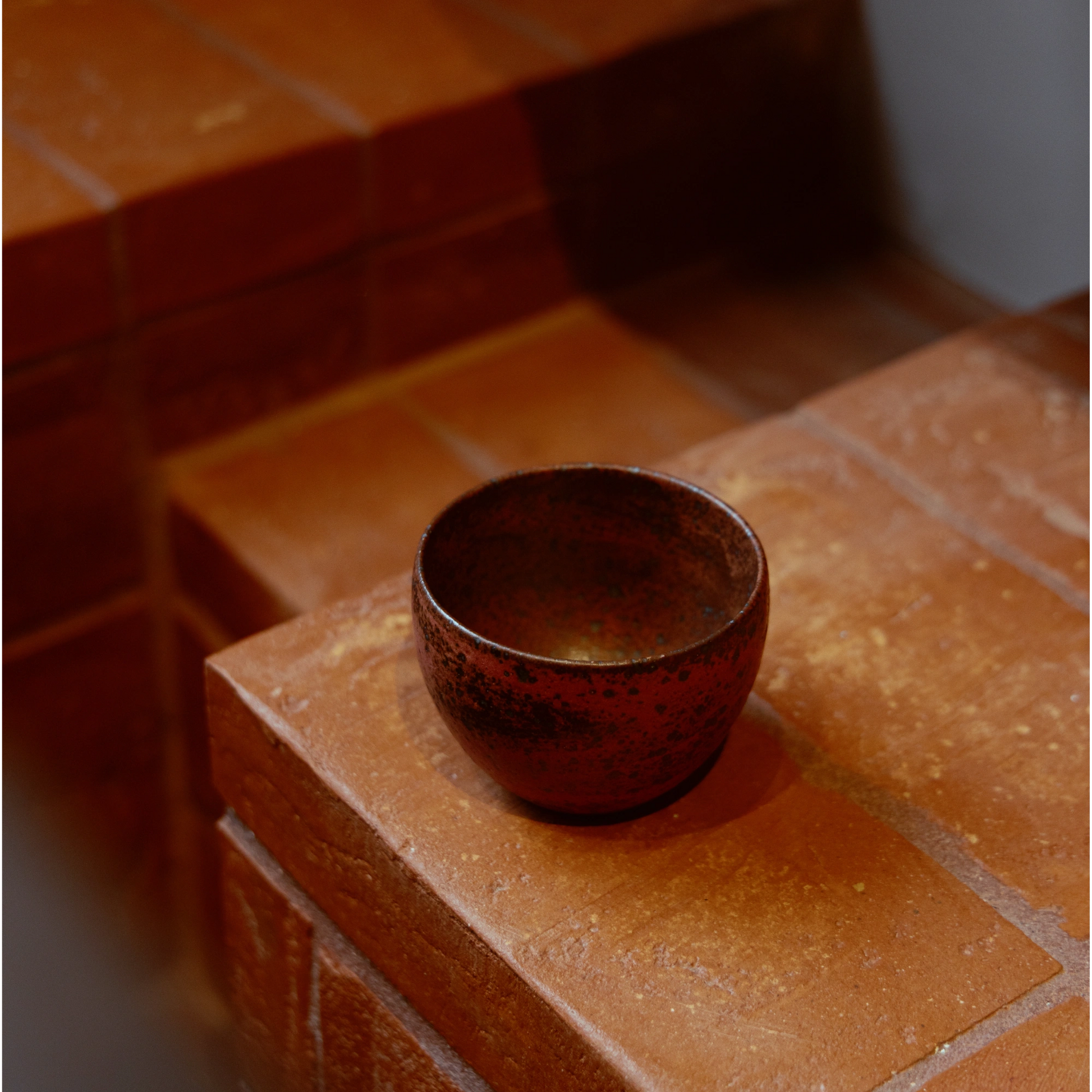 K.H.Wurtz Cup Nordhavn Environment