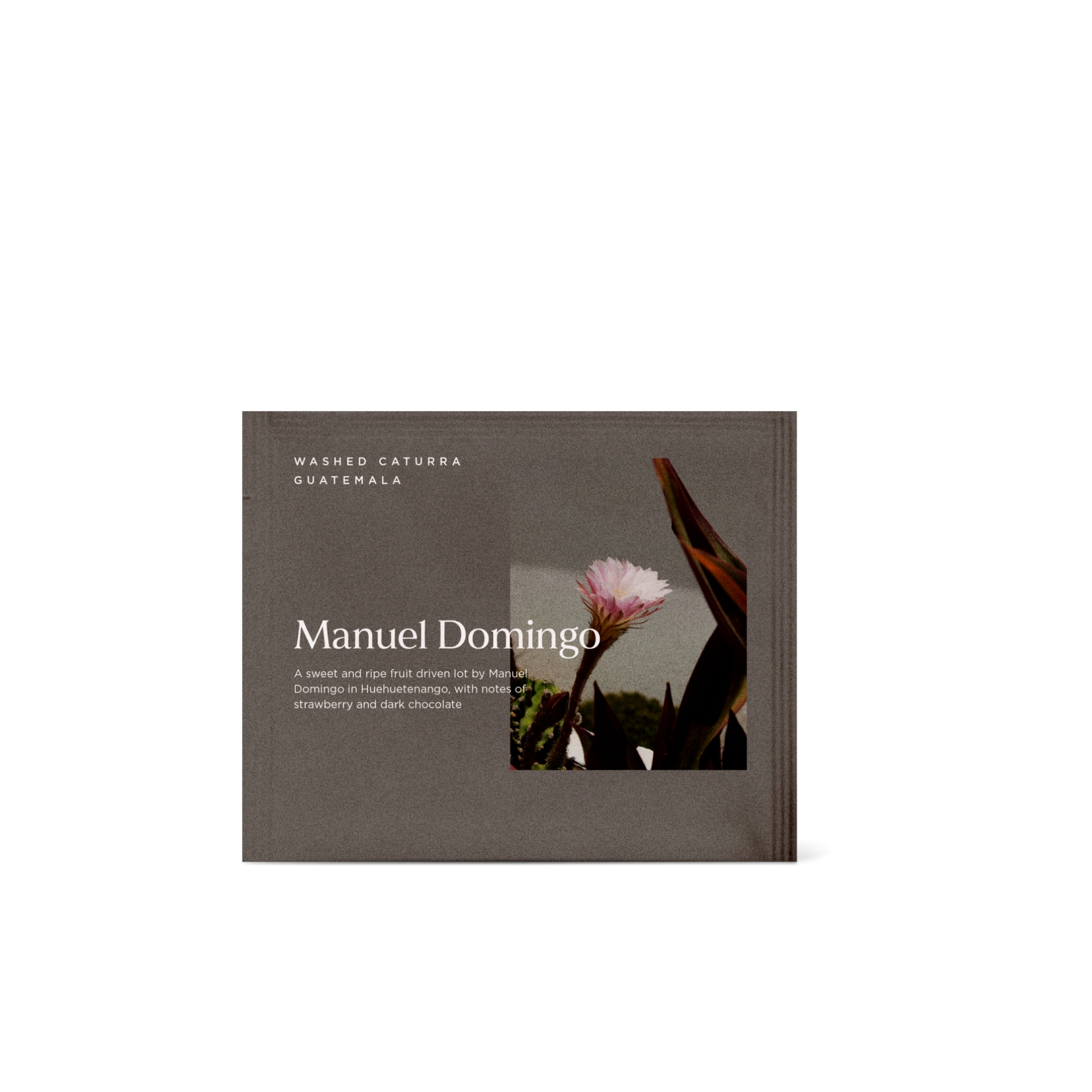 Manuel Domingo Steeped Bag