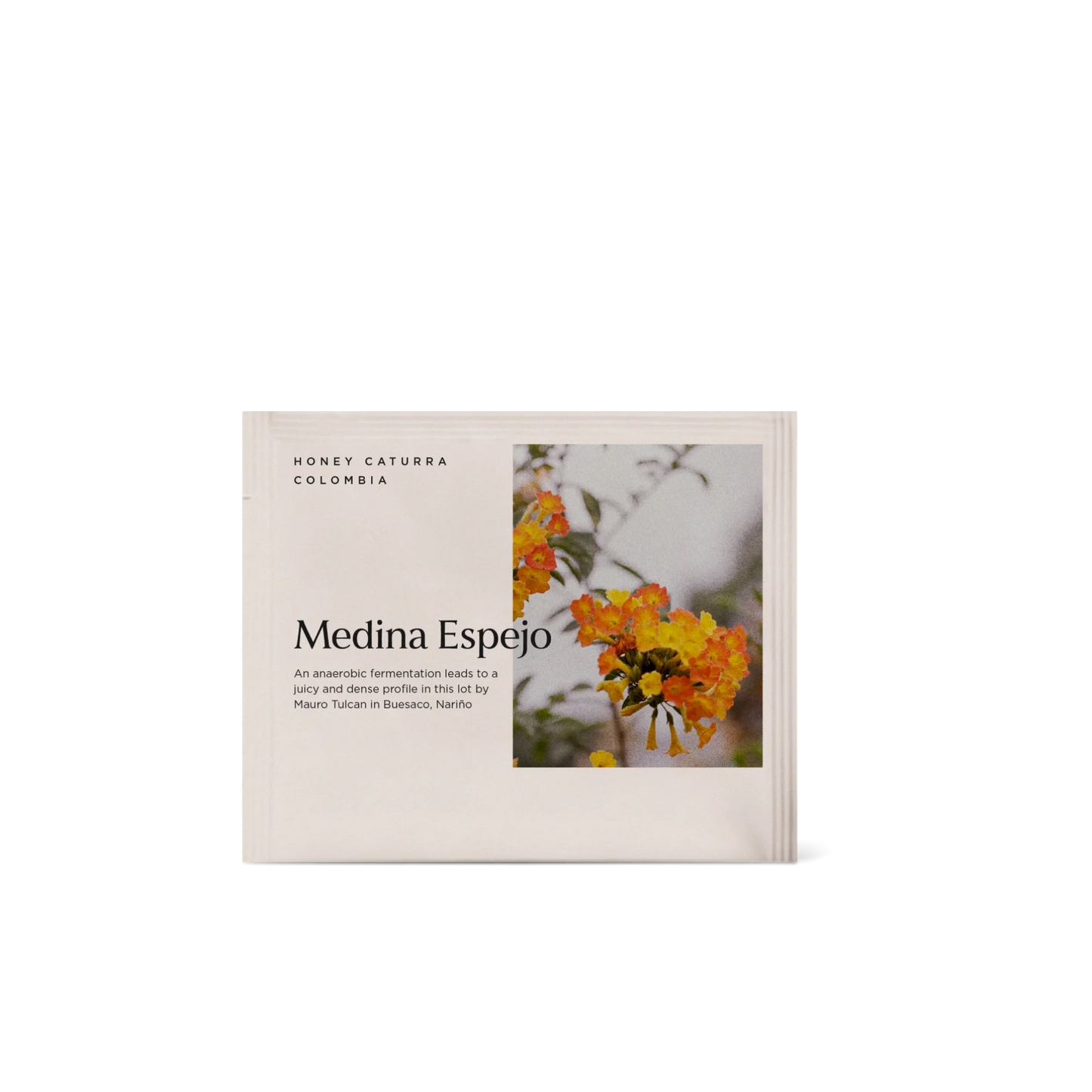 Medina Espejo Steeped Bag