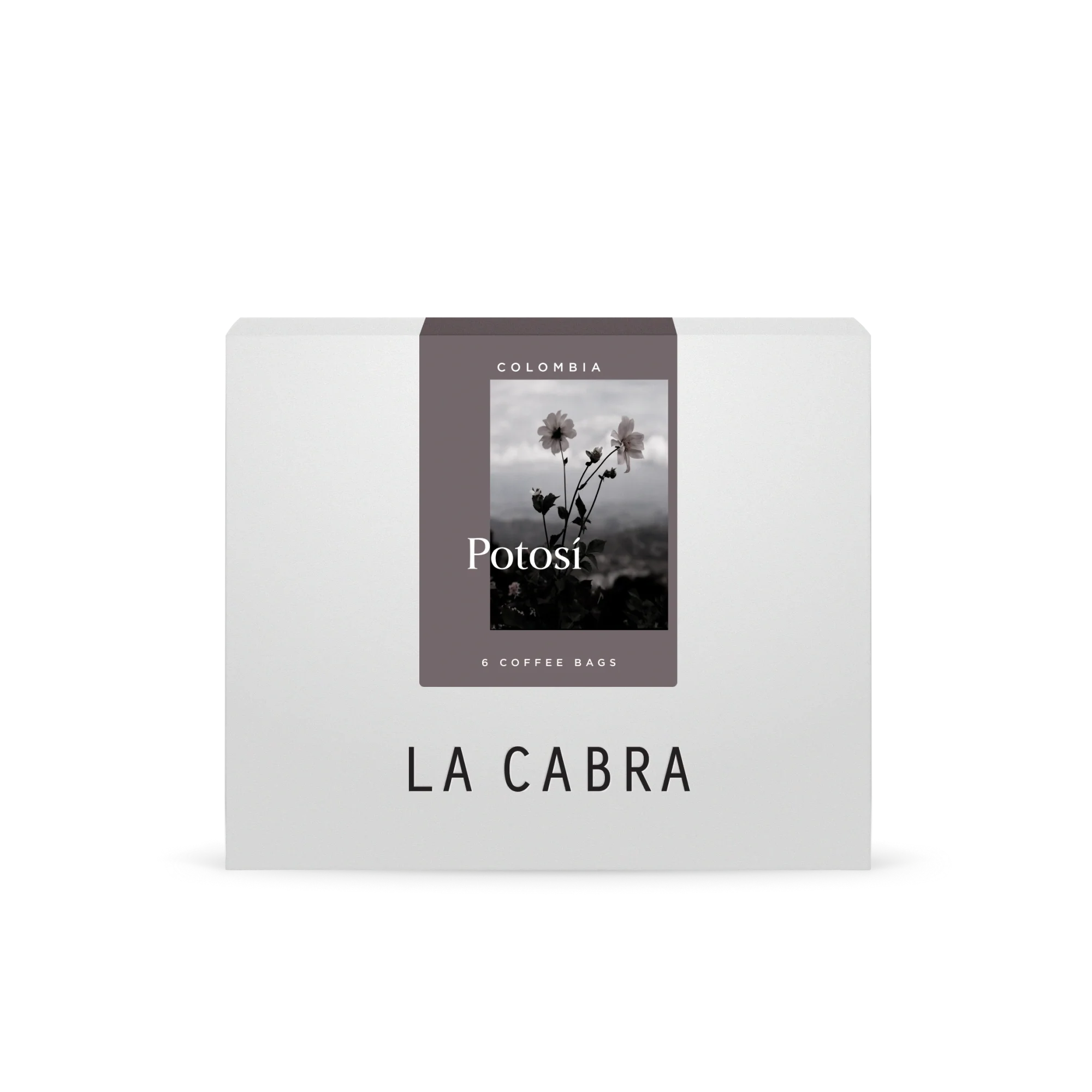 Potosà Steeped Bundle