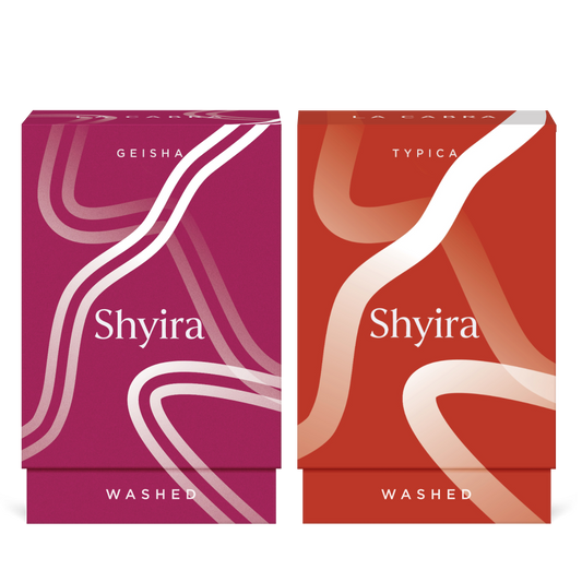Shyira Typica & Geisha