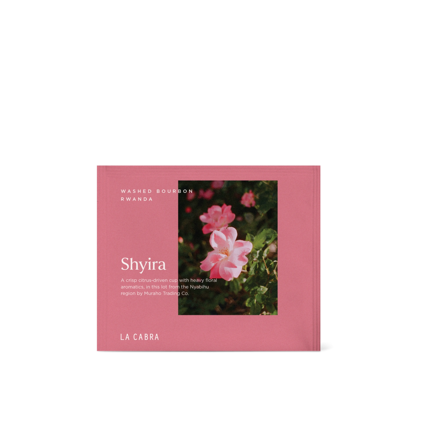 Shyira Washed Single Serve