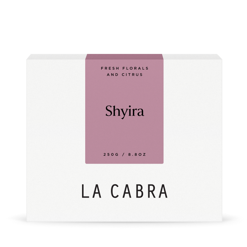 Shyira Washed Coffee box 250g La Cabra