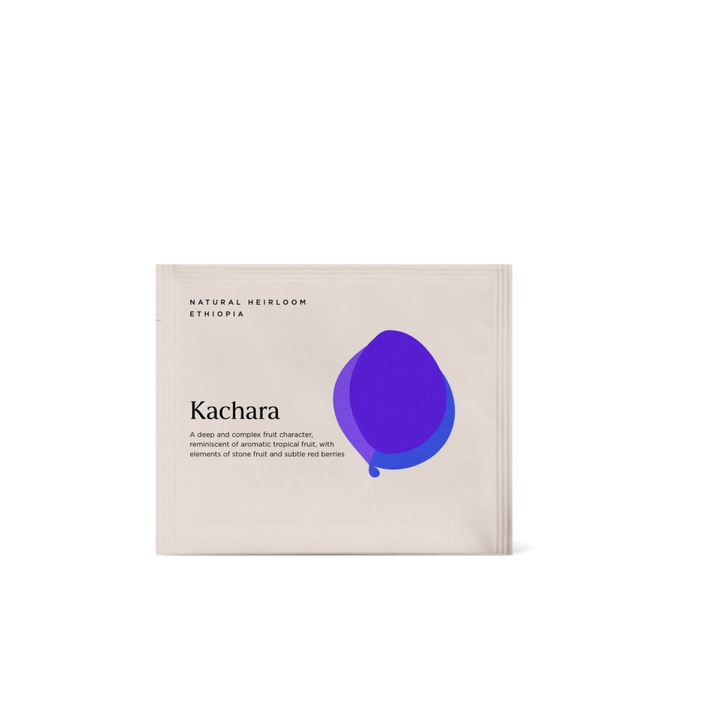 Steeped Kachara Single Unit