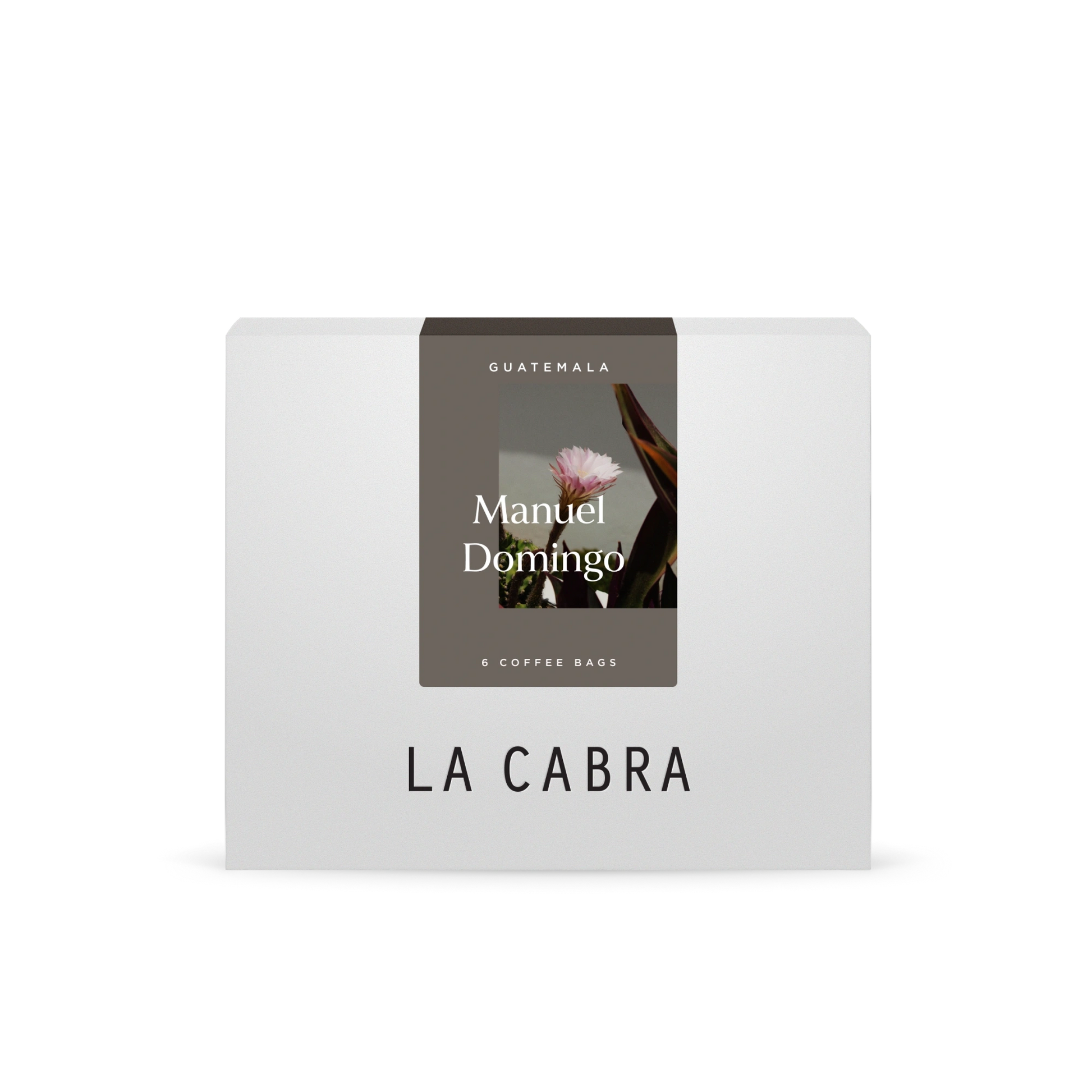 Manuel Domingo Steeped Bundle