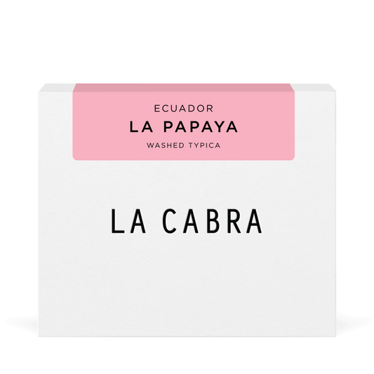 Hacienda La Papaya Washed Typica