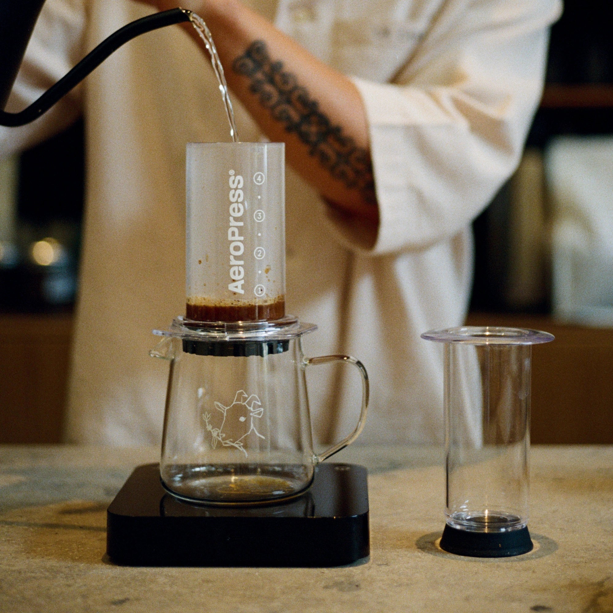 AeroPress Filters Environment