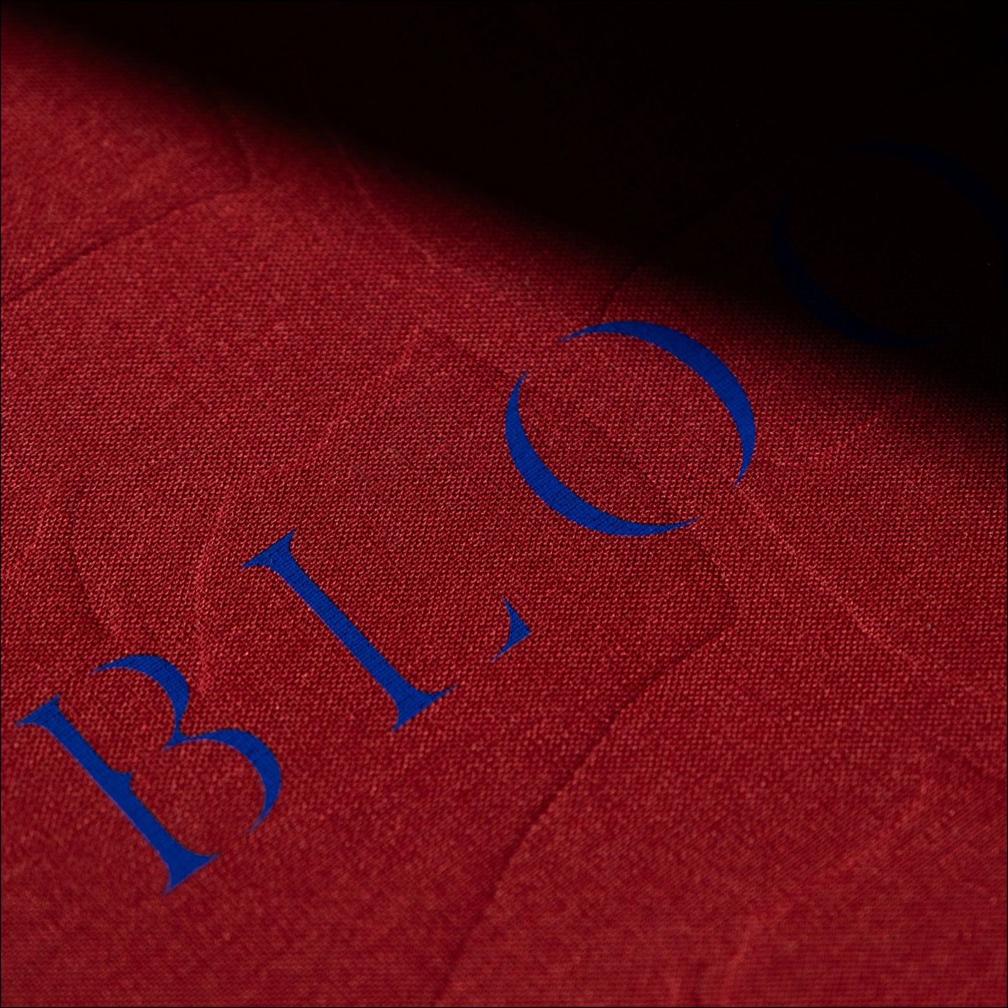 Bloom Book Cover Detail