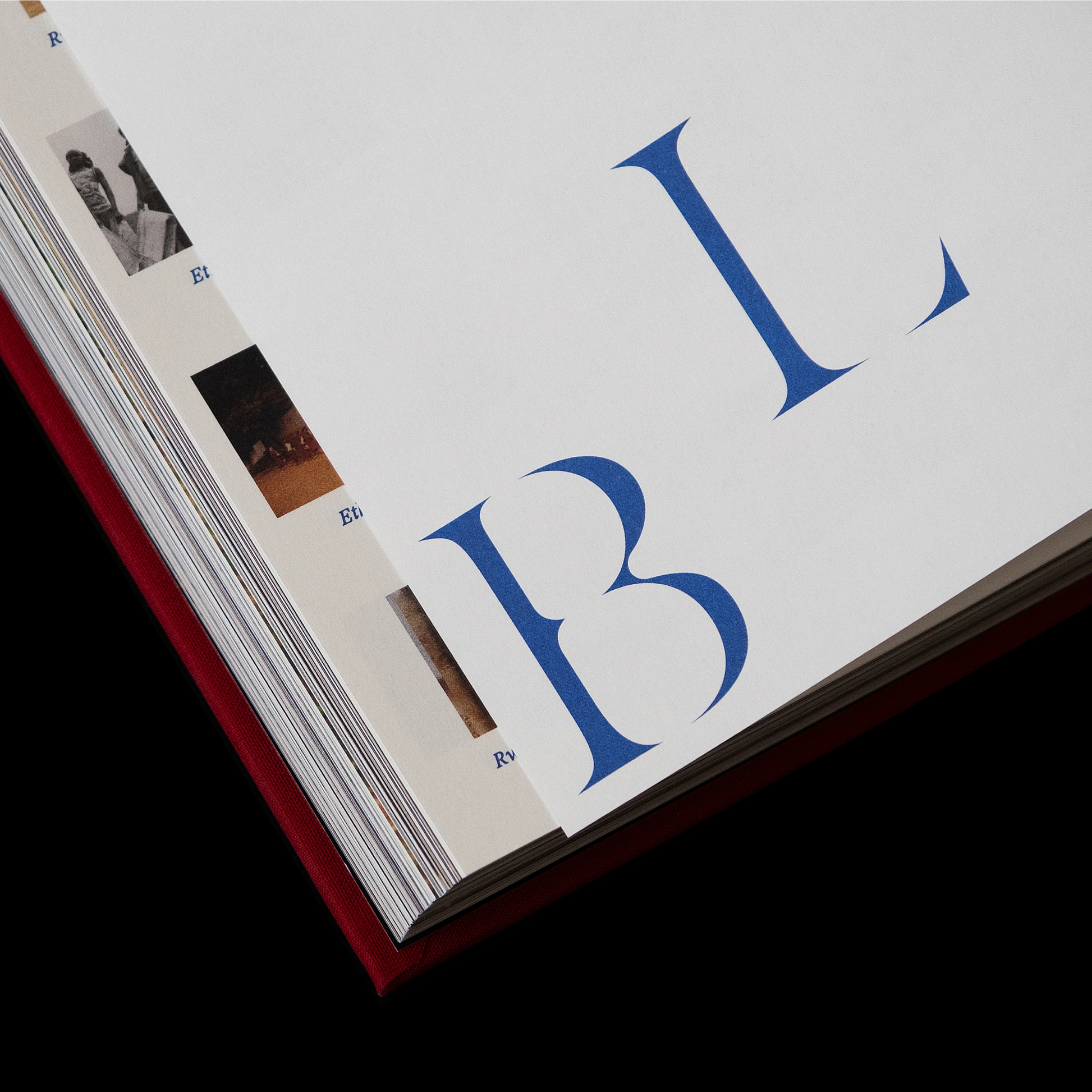 Bloom Book Page Detail