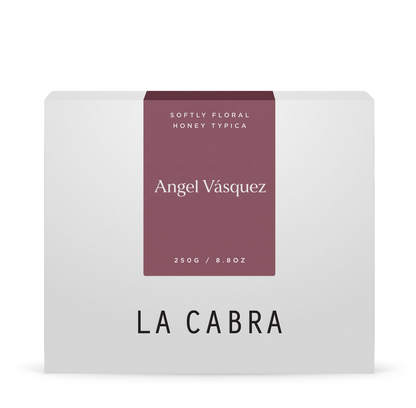 Angel Vásquez