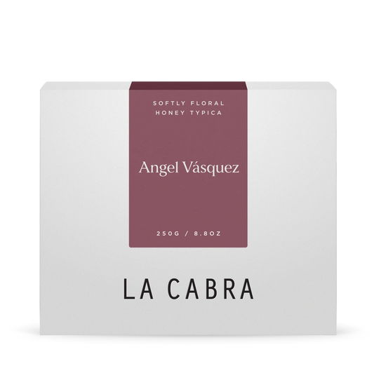 Angel Vásquez