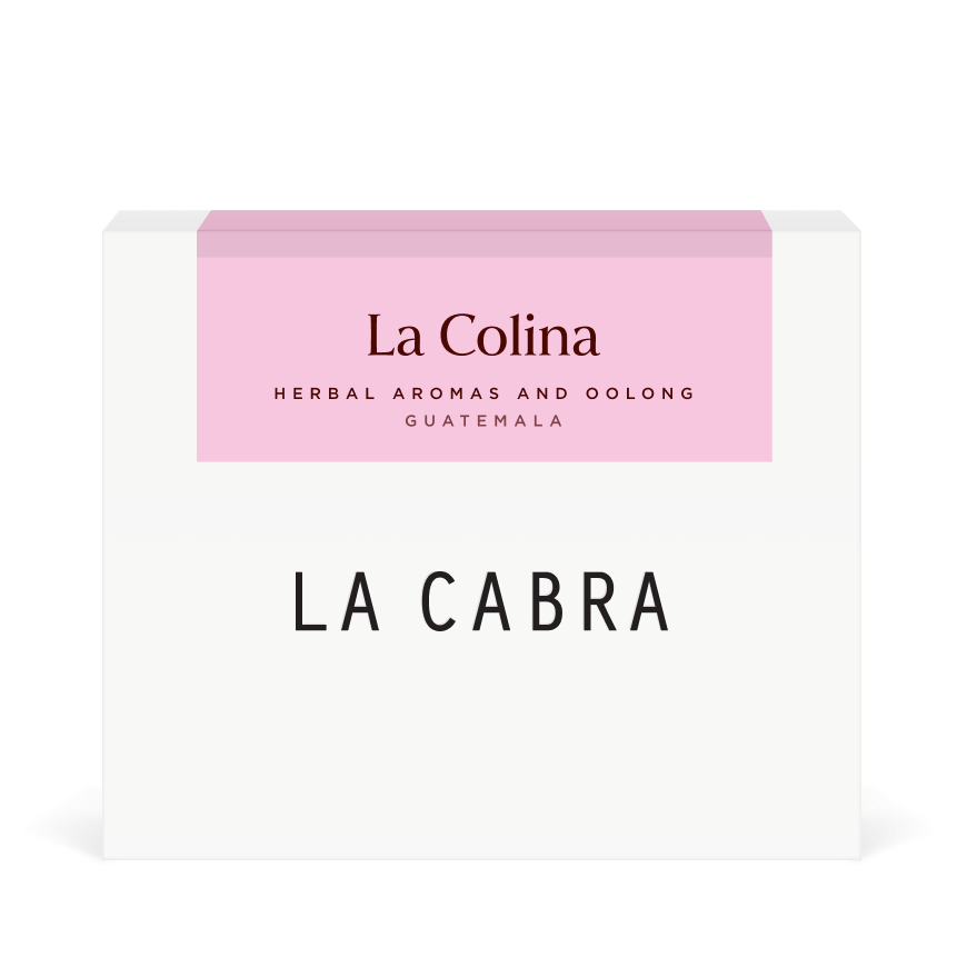 La Colina Pacamara