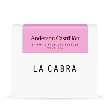 Anderson Castrillón