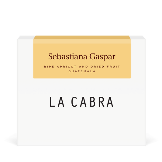 Sebastiana Gaspar