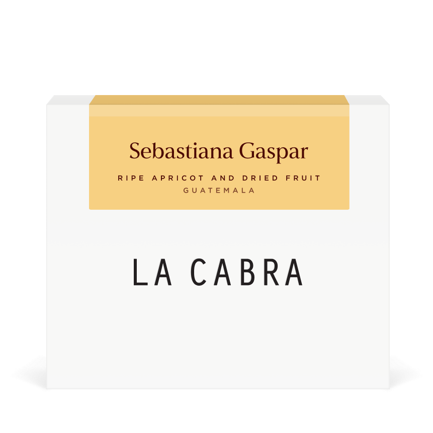 Sebastiana Gaspar