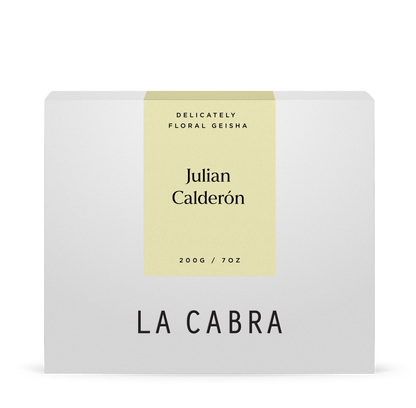 Julian Calderon Geisha