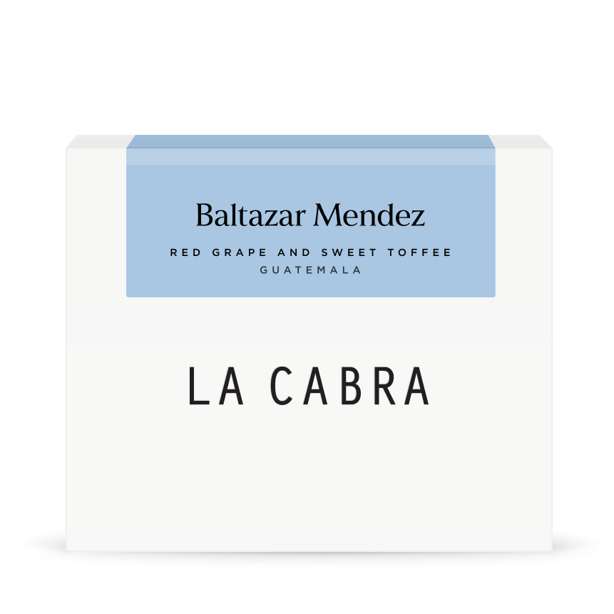 Baltazar Mendez