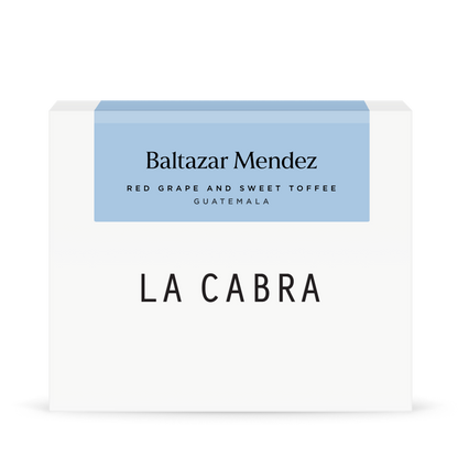 Baltazar Mendez