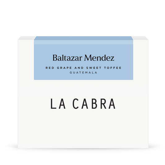 Baltazar Mendez