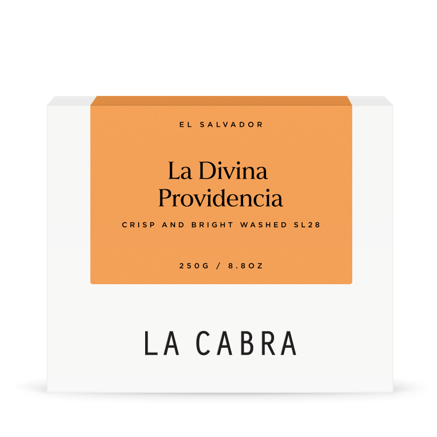 La Divina Providencia Washed SL28