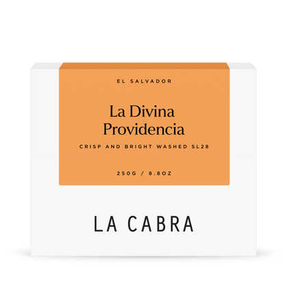 La Divina Providencia Washed SL28