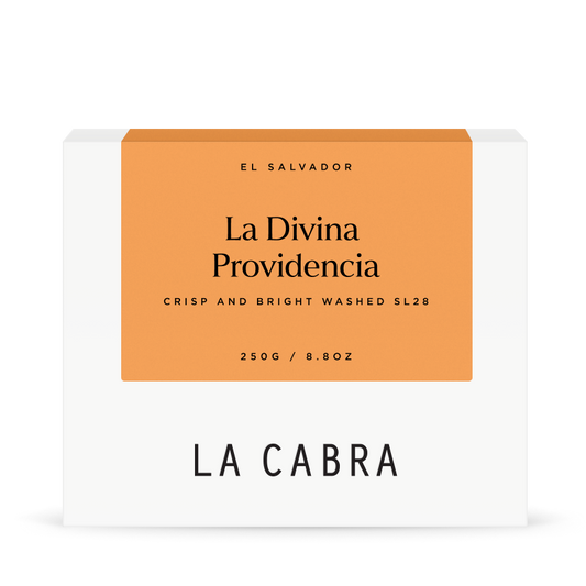 La Divina Providencia Washed SL28