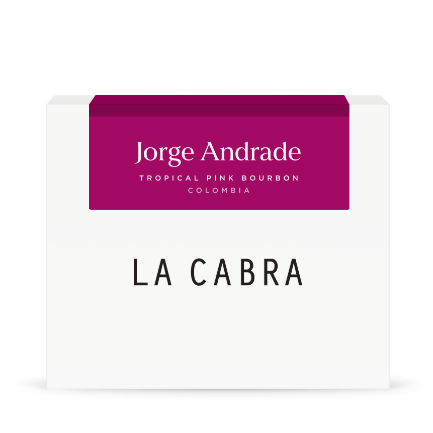 Jorge Andrade