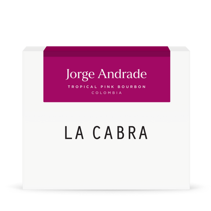 Jorge Andrade