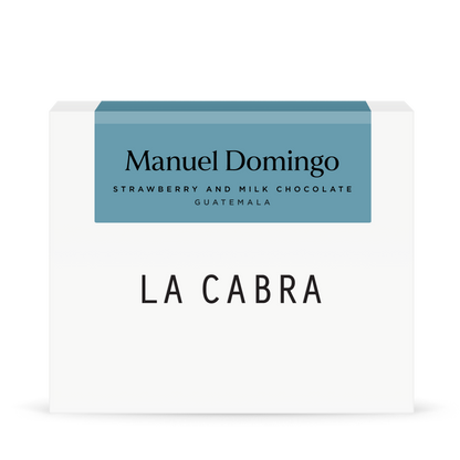 Manuel Domingo