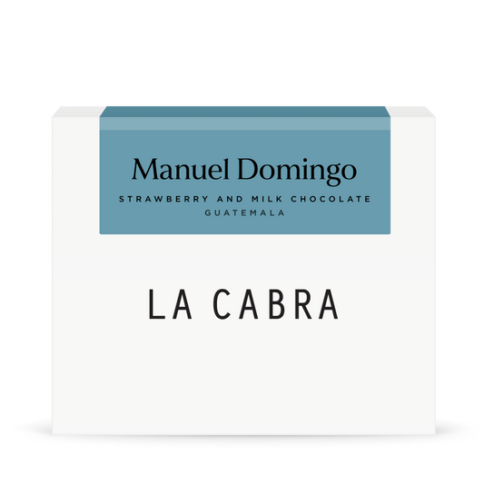 Manuel Domingo