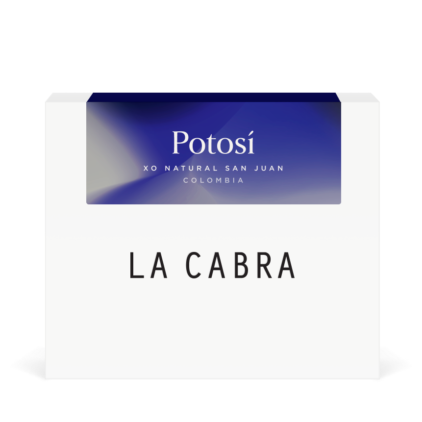 Photo of COLOMBIA Potosí Natural XO 2024