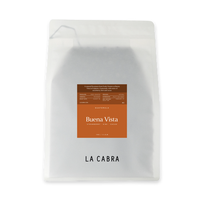 Buena Vista