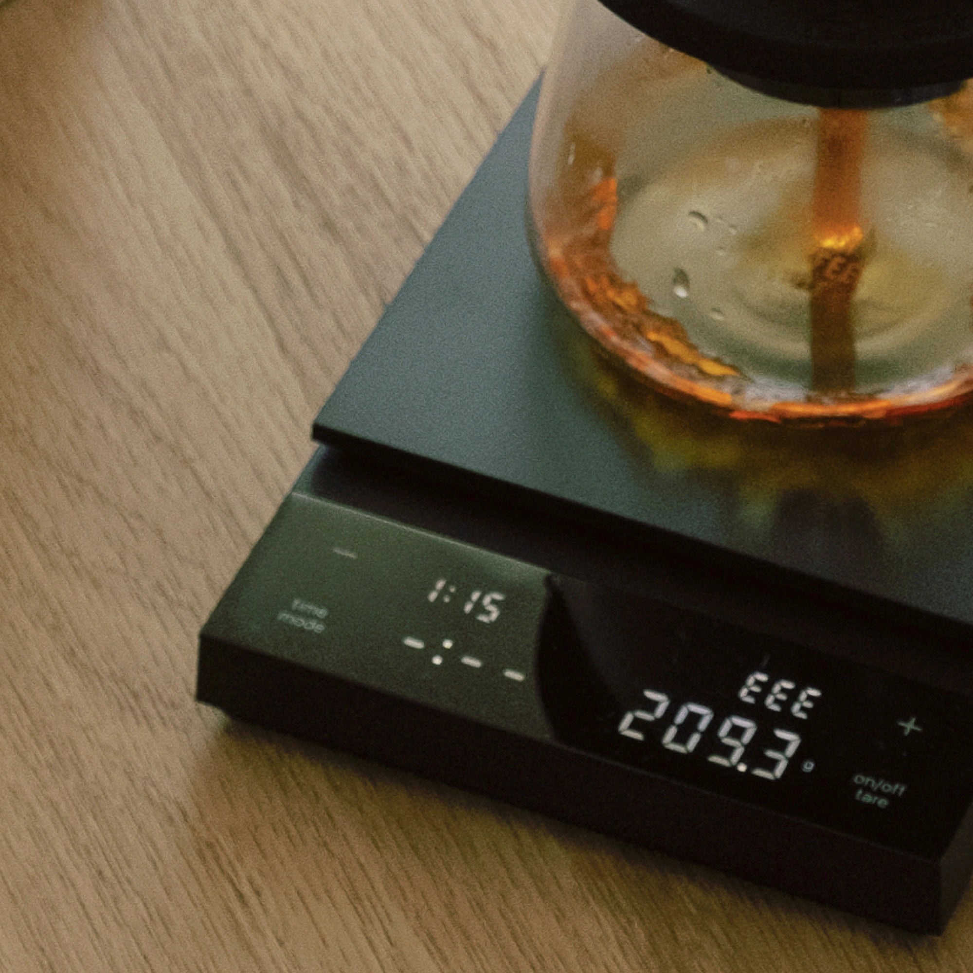 Hario Polaris Scale Detail