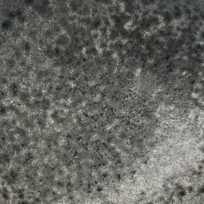 K.H.Würtz Focus Graphite