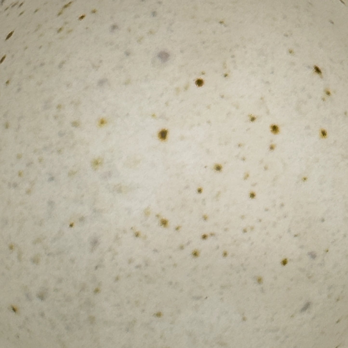 K.H. Würtz Cup - White Reduction