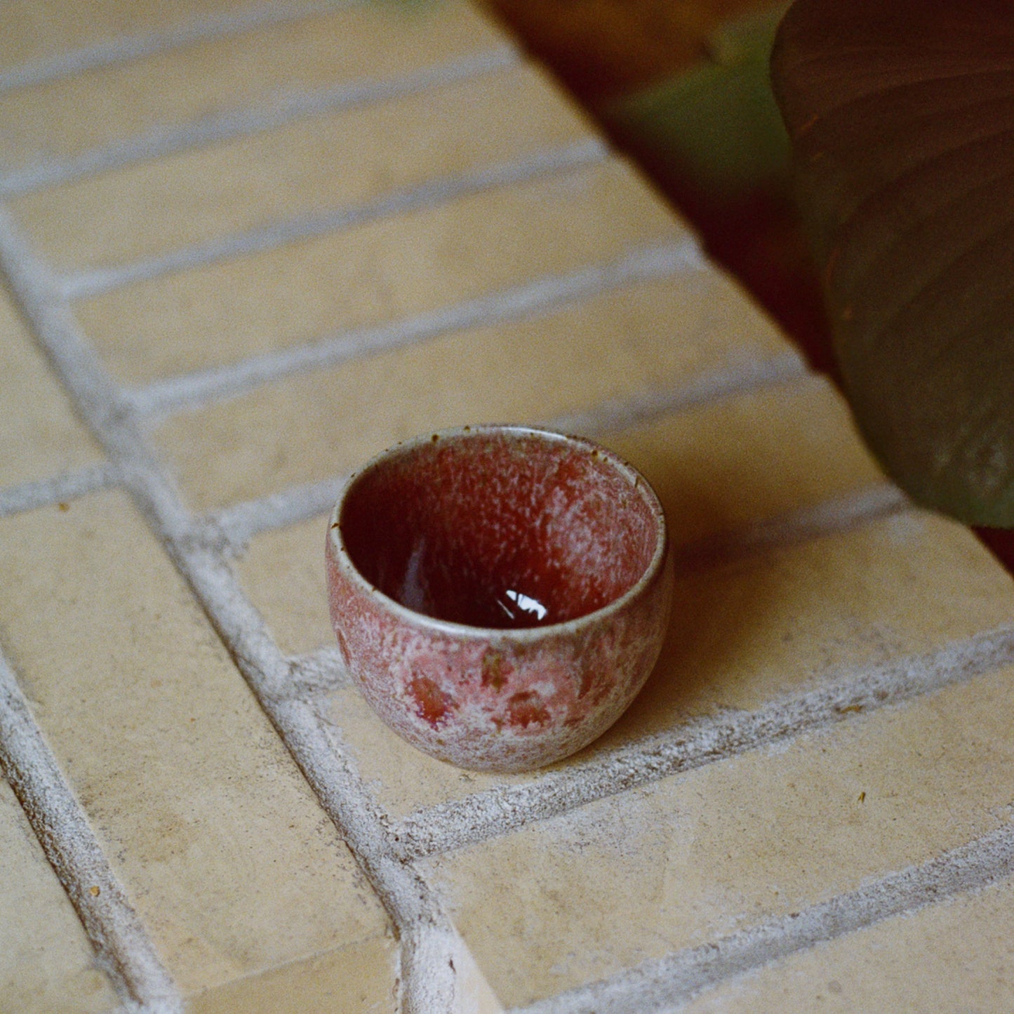 K.H.Wurtz_Ruby_-_Environment