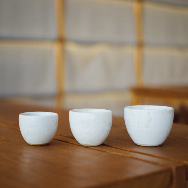 K.H. Würtz Cup Light Environment