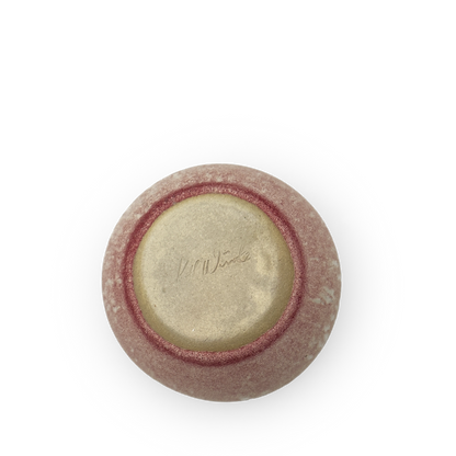 K.H Würtz Cup Justicia Bottom