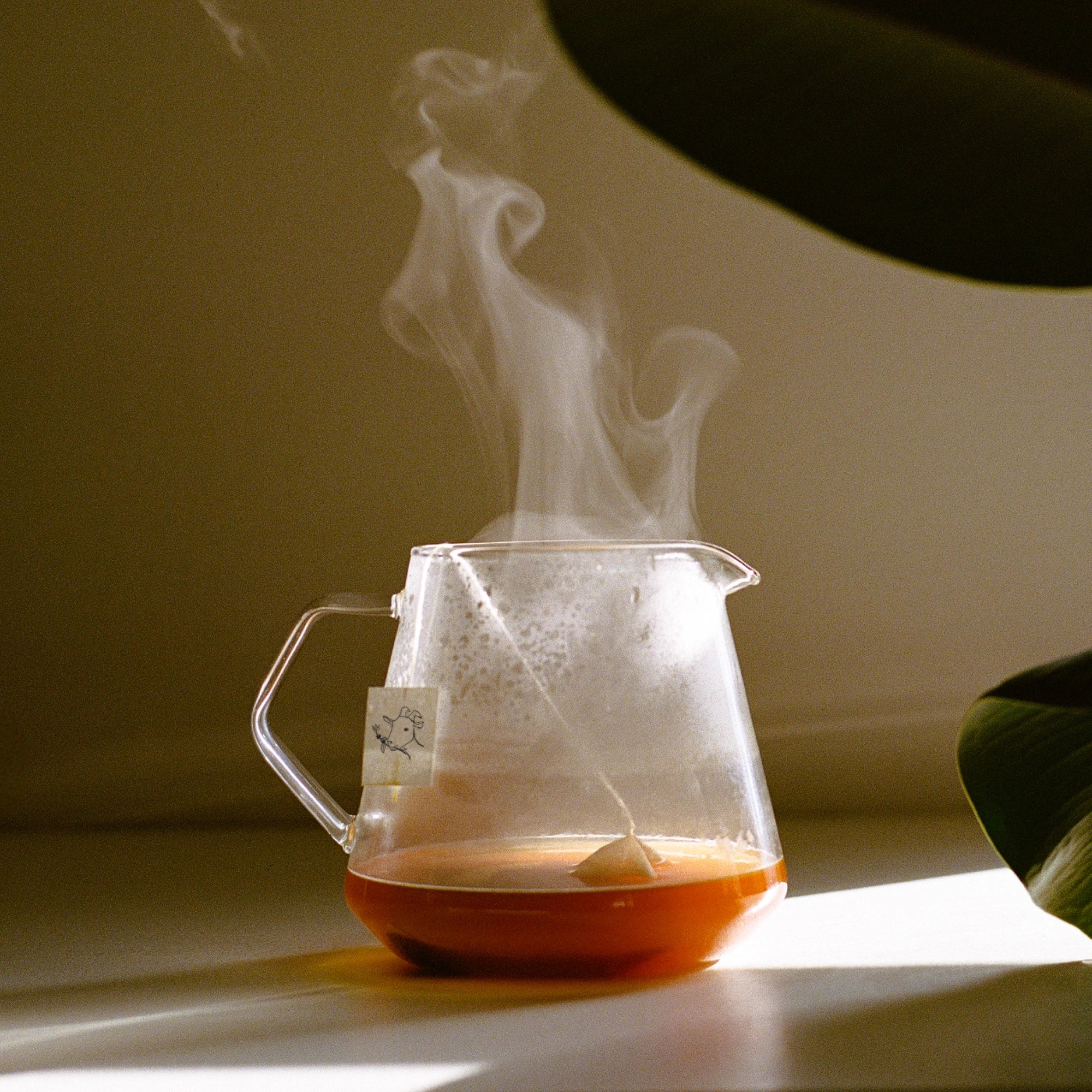 Kinto Coffee Server Detail