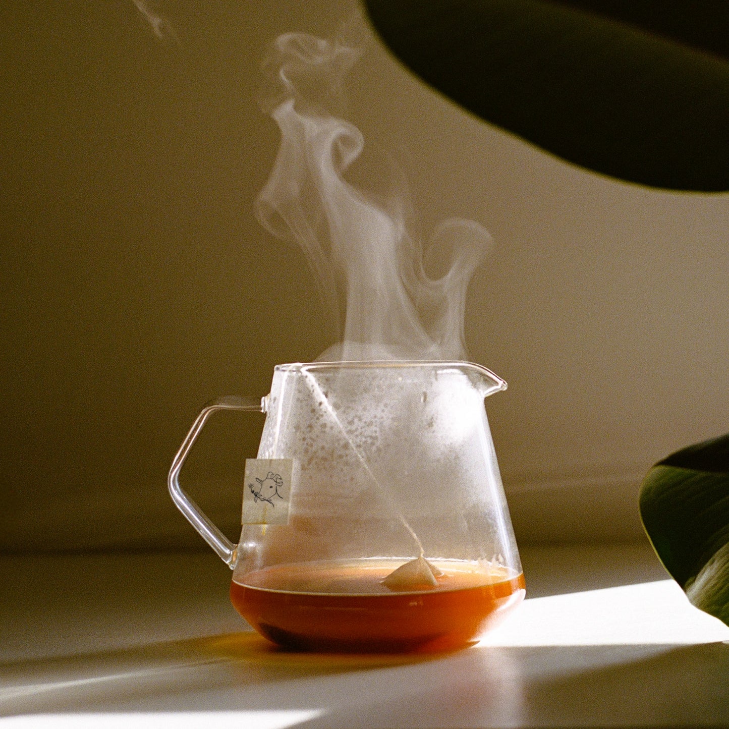 Kinto Coffee Server Detail