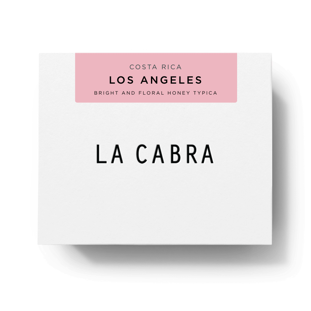 Los Angeles Typica