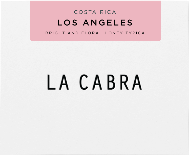 Los Angeles Typica