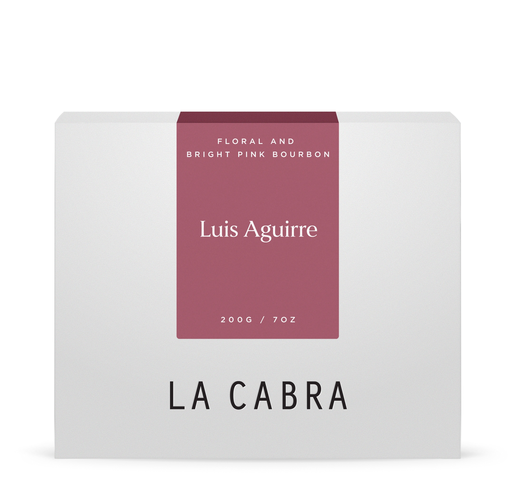 Luis Aguirre