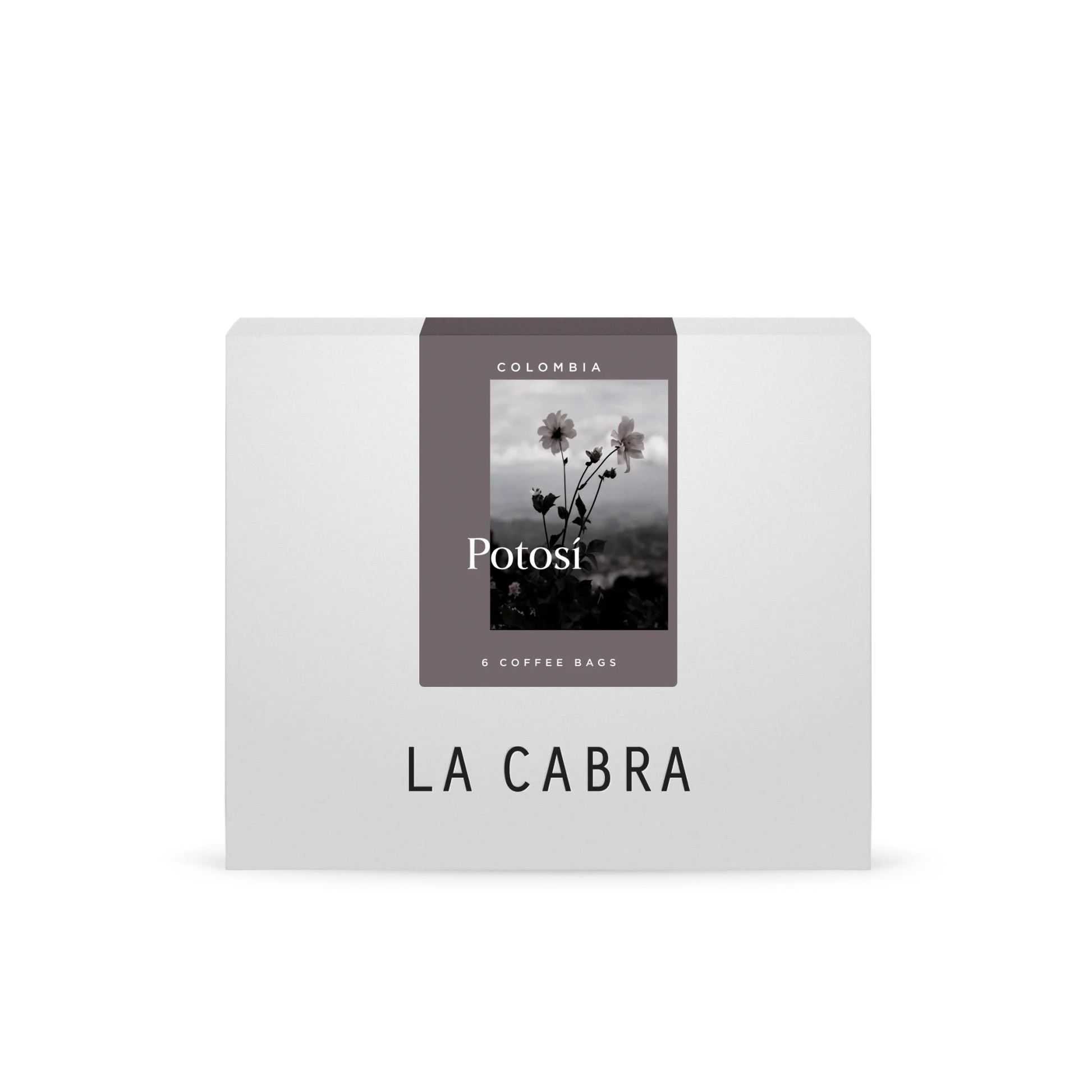 Potosí Steeped Bundle