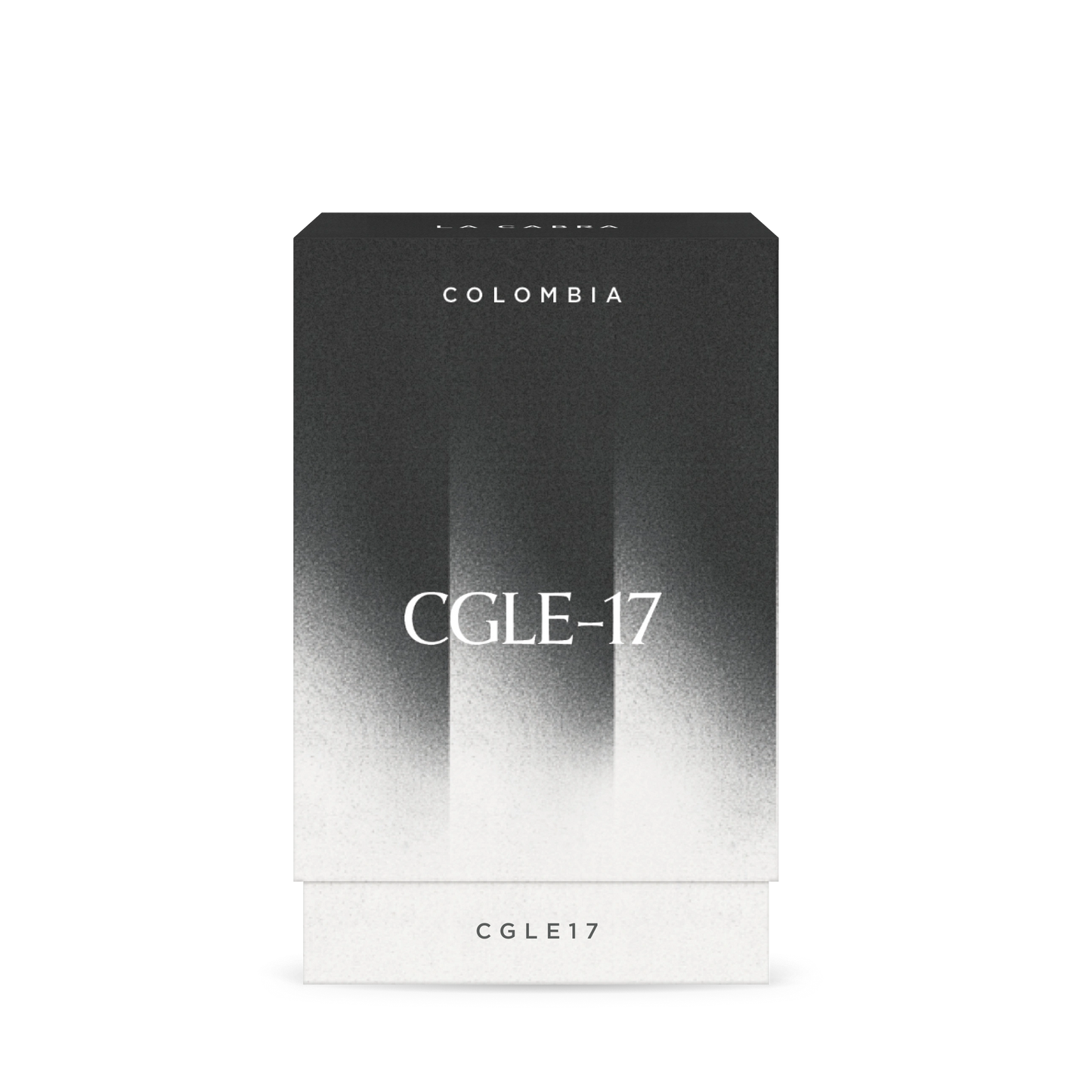 CGLE 17 Washed