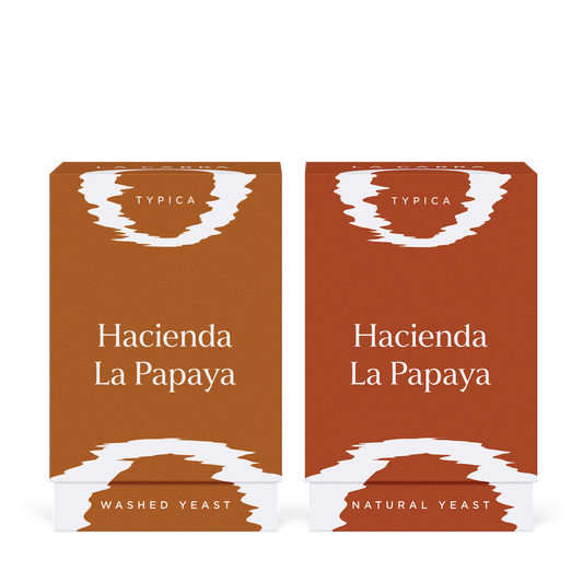 Hacienda La Papaya Yeast Experiments