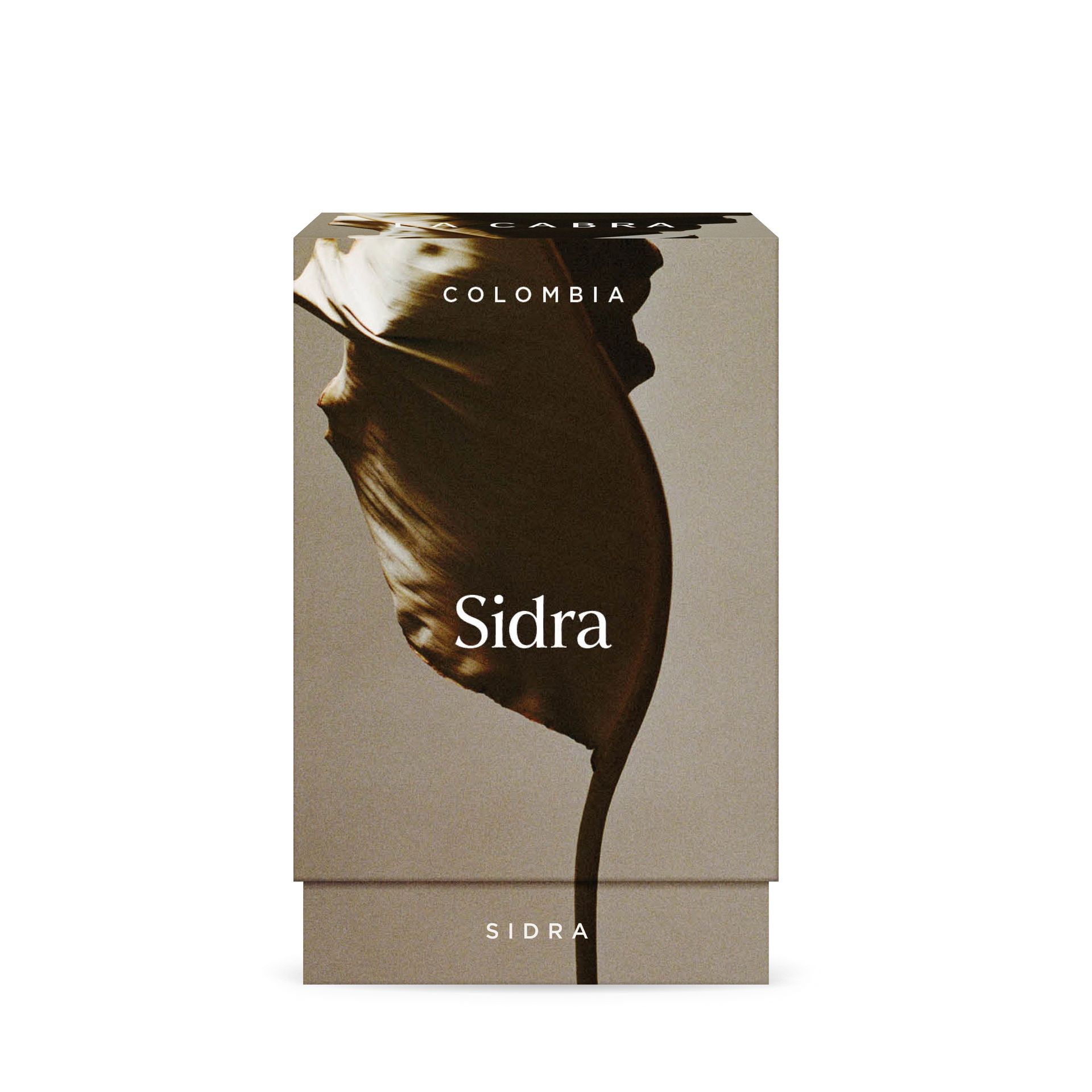 Photo of Sidra